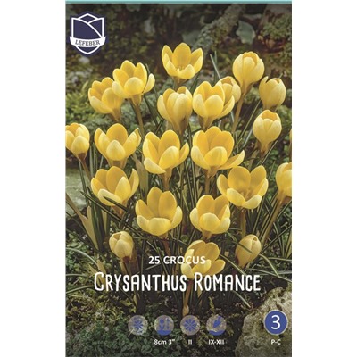 Крокус Романс (Crocus Romance), 25 шт (разбор 5/7)