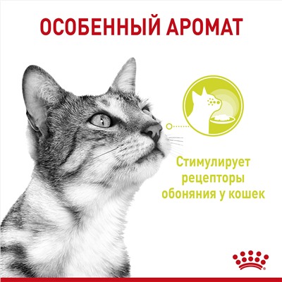 Royal Canin Sensory для взрослых кошек стимулирующий обонятельные рецепторы 85 гр