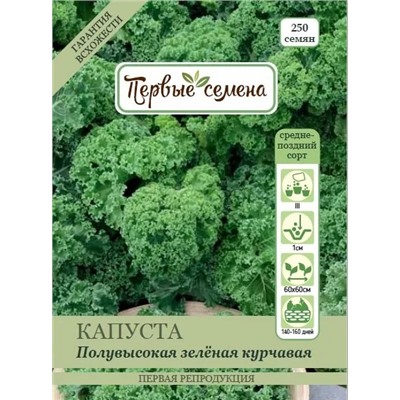 Капуста листовая Полувысокая зелёная курчавая