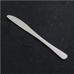 Нож столовый «Классика», длина 22 см, толщина 4 мм, нержавеющая сталь