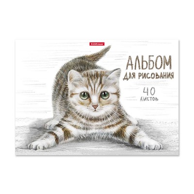 Альбом д/р на клею Tabby, А4, 40л