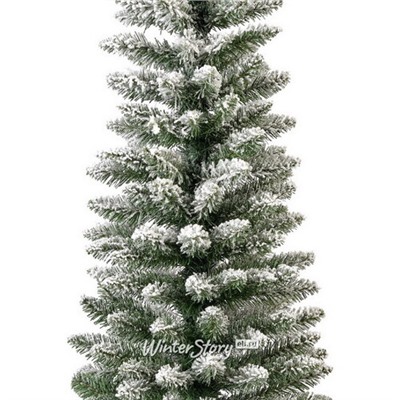 Искусственная елка Pensil Pine заснеженная 240 cм, ПВХ (Winter Deco)