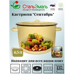 Кастрюля 4.5л 1с17/с крем. Сентябрь