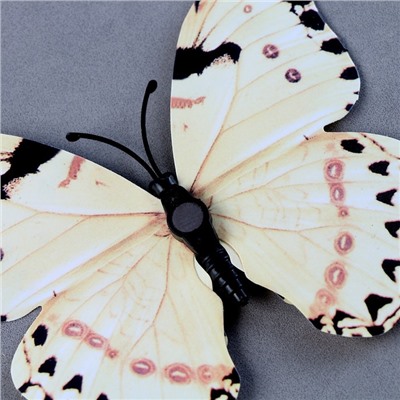 Набор для украшения «Бабочки», 12 шт, с чёрными вставками, цвет белый