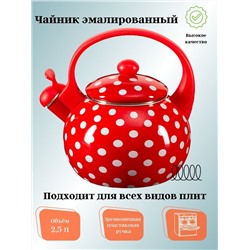 Чайник для плиты эмалированный 2,5л со свистком EM-25101/66
