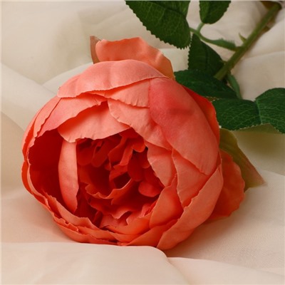 Цветы искусственные "Роза Эстетика" 7х65 см, персиковый