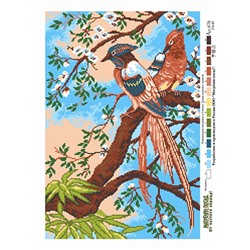 Рисунок на канве МАТРЕНИН ПОСАД арт.37х49 - 0676 Райские птицы