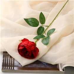 Цветы искусственные "Роза Эстетика" 7х65 см, бордовый