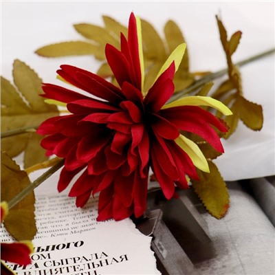 Цветы искусственные "Георгин Кактусовый" d-3,5 см 40 см бордовый