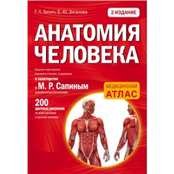340374 Эксмо Габриэль Билич, Елена Зигалова "Анатомия человека: 2 издание"