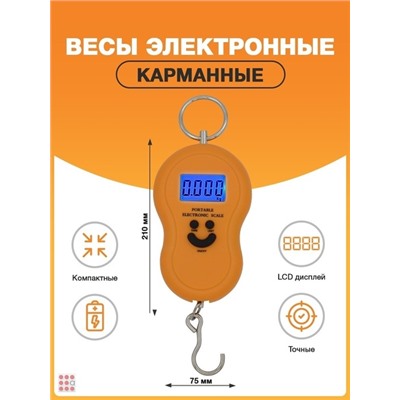 Весы безмены электронные кухонные рыболовные бытовые ювелирные на рыбалку кухню дачу для багажа до 50 кг