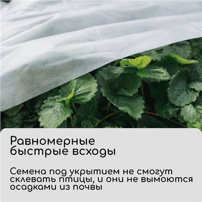 Материал укрывной, 10 × 3,2 м, плотность 30 г/м², спанбонд с УФ-стабилизатором, белый, Greengo, Эконом 20%