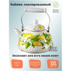 Чайник для плиты 3,0л эмалированный с керамической ручкой "Лимоны" EM-301*1/62