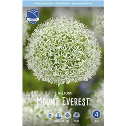 Аллиум Маунт Эверест (Allium Mount Everest), 1 шт (разбор 20/22)