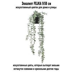 Эвкалипт FEJKA 9-58 см