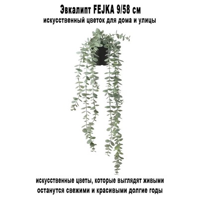 Эвкалипт FEJKA 9-58 см