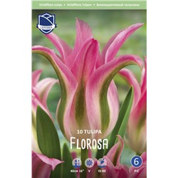 Тюльпан Флороза (Tulipa Florosa), 10 шт (разбор 12/14)