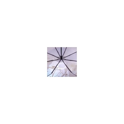 Зонт женский DINIYA арт.2235 полуавт 23(58см)Х8К