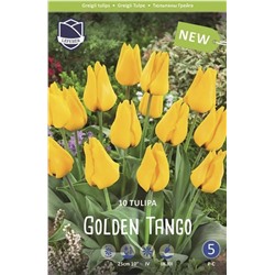 Тюльпан Голден Танго (Tulipa Golden Tango), 10 шт (разбор 11/12)