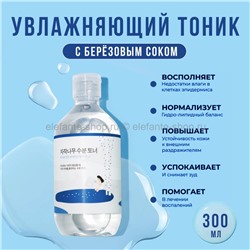 Тоник для лица Round Lab Birch Juice Moisturizing Toner 300ml (51)