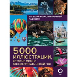 Большой иллюстрированный гид всего. 5 000 иллюстраций, которые можно рассматривать целый год