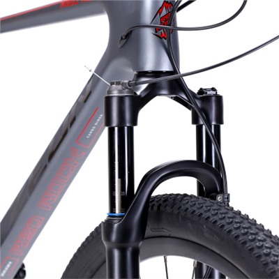 Велосипед горный 29" ZEON RED ROCK карбоновый 19',  L-TWOO 12SP 11-50T, AIR, оси, карбовтулки, гидравлика. цвет: серебристый silver singularity
