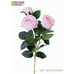 Роза пионовидная 3 бутона - светло-розовый