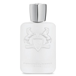 PARFUMS DE MARLY GALLOWAY edp 125ml TESTER