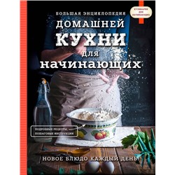 340781 Эксмо "Большая энциклопедия домашней кухни для начинающих"