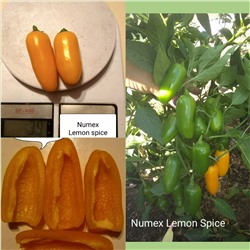 Numex Lemon spice