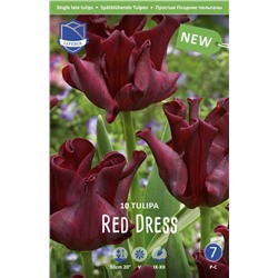 Тюльпан Ред Дресс (Tulipa Red Dress), 10 шт (разбор 12/14)