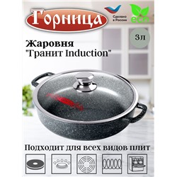 Жаровня 260/70 3,0л. Гранит Induction лит/руч. с кр. (п/у), Иж2611аг