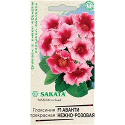 Глоксиния Аванти нежно-розовая F1, 4 шт семян