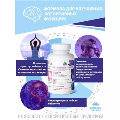 Концентрат "Мозговая активность" с аминокислотой, L-теанин и экстрактом гинкго билоба, 60 капсул