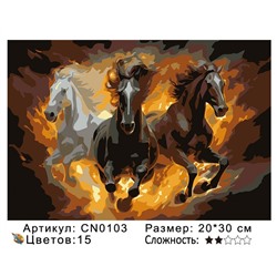 CN0103 Картины по номерам 20*30 цвет.холст