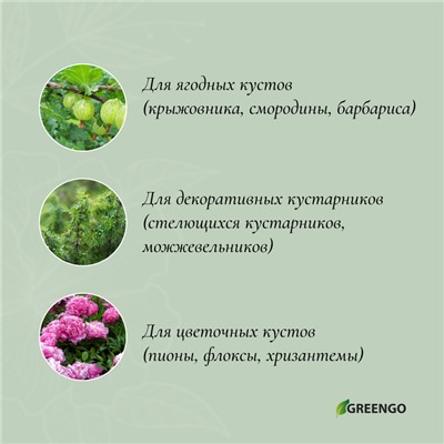 Кустодержатель, d = 30 см, h = 60 см, ножка d = 0,3 см, металл, набор 2 шт., зелёный, Greengo