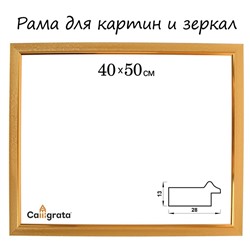 Рама для картин (зеркал) 40 х 50 х 2,8 см, пластиковая, Calligrata 6528, золото