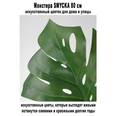 Монстера SMYCKA 80 см