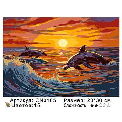 CN0105 Картины по номерам 20*30 цвет.холст