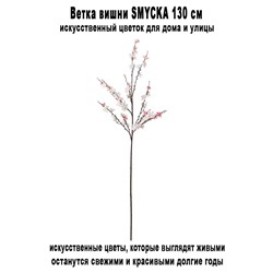 Вишня SMYCKA 130 см