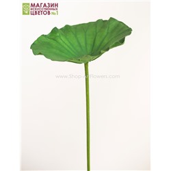 Лист лотоса, 60 см. - зеленый