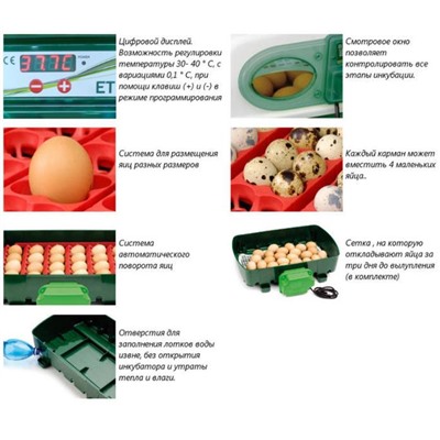 Инкубатор, на 12 яиц, автоматический переворот, 120 В