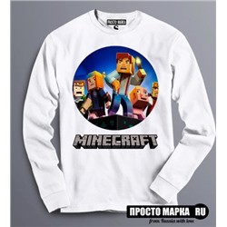 Толстовка Свитшот Minecraft Torch