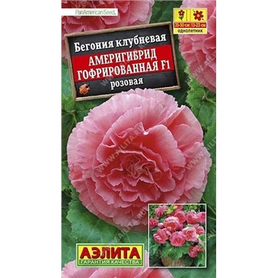 Семена Бегония Америгибрид гофрированная F1 розовая Ц/П