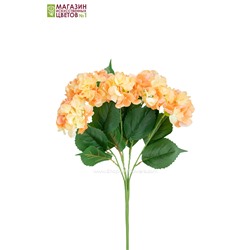 Гортензия куст (5 соцветий) - 11 расцветок - персиковый