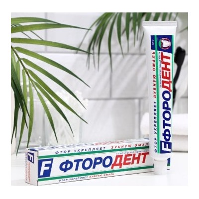 ВЕСНА Зубная паста Фтородент меловая 90 гр в футляре