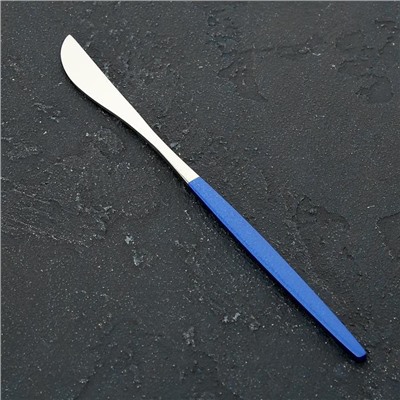 Нож столовый из нержавеющей стали Magistro «Блинк», длина 22 см, на подвесе, цвет серебряный, синяя ручка