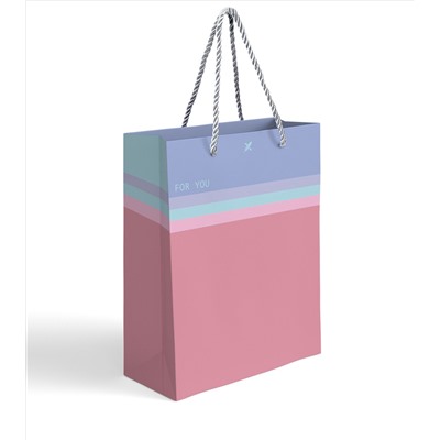 Пакет подарочный малый 18х23х10 см LOREX GIFT BAG серия GRADIENT TOUCH