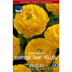 Ранункулюс азиатский Авив Йеллоу (Aviv YELLOW), 15 шт