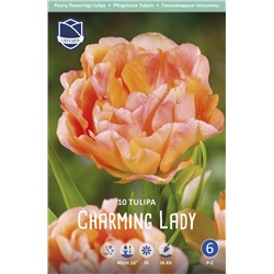 Тюльпан Чармин Леди (Tulipa Charming Lady), 10 шт (разбор 11/12)